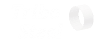 Tribo Steel les paliers lisses du logo